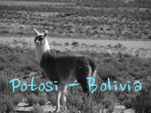 Potosi - Bolivia. Carol Michelassi280114